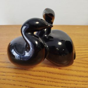 Poules d'eau de Miroslav Smutny